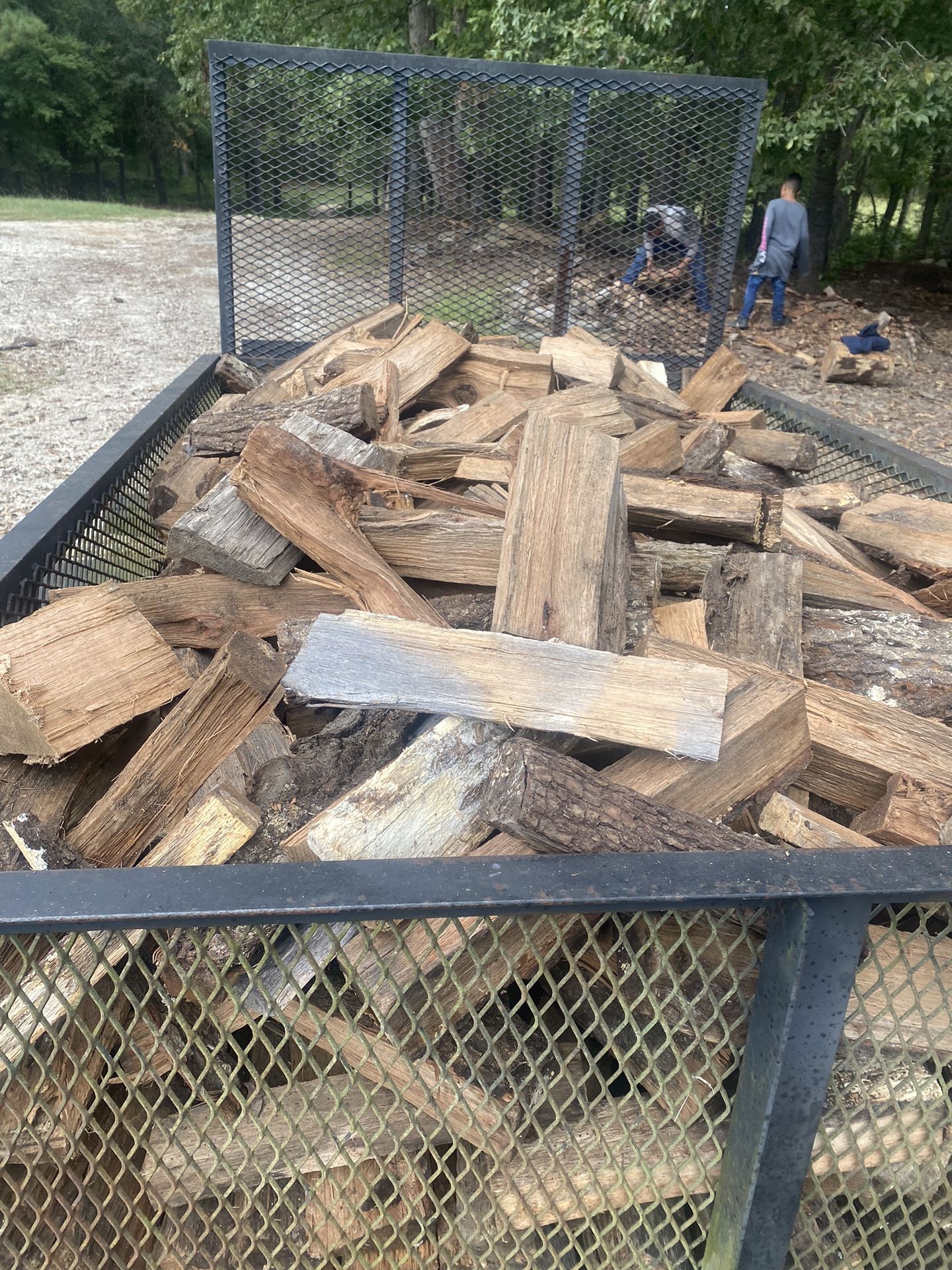 Firewood