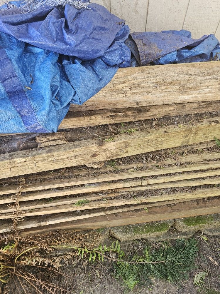 Old Cedar Fence Boards