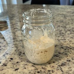 Organic Bleach free Sourdough Starter 