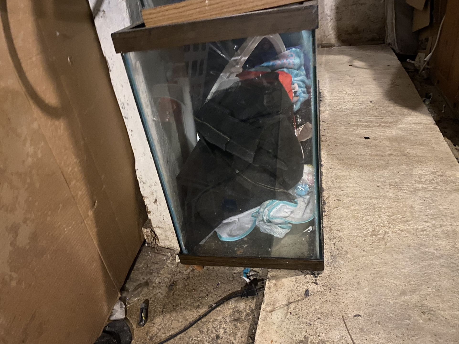 Fish Tank