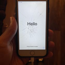 iPhone 6