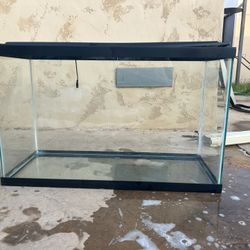 Fish Tank & Accessories 