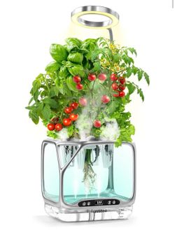 Aeroponics Growing System