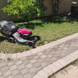 Garden az