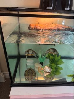 40 Gallon Aquarium/Tank with Accessories