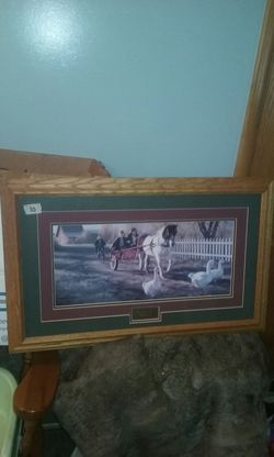 Horse carriage picture