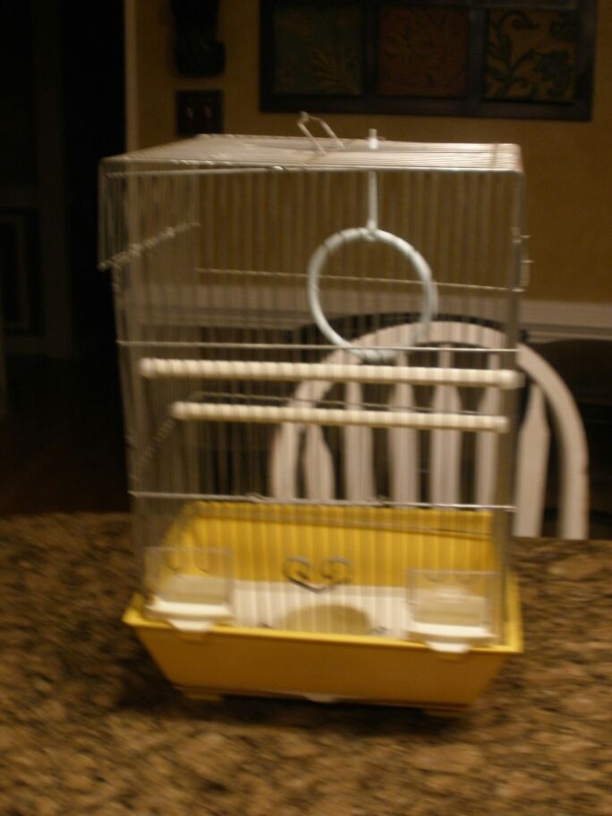 Bird Cage with lots of accessories