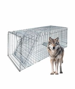 Large Live Animal Trap for Coyotes and Bobcats