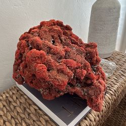 Vintage Natural Crimson Red Coral Reef Pipe Organ Specimen Large Centerpiece Aquarium Decor Sea Ocean Gorgeous Striking