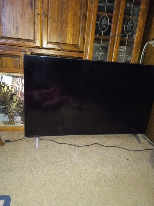 LG 55in