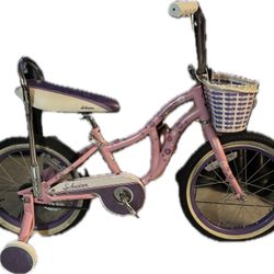 16” Schwinn Bike