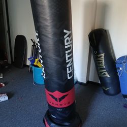 Century Punching Bag 