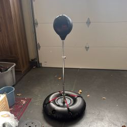 Boxing Bag DIGI sport