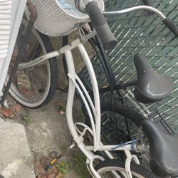 Beach Cruiser 