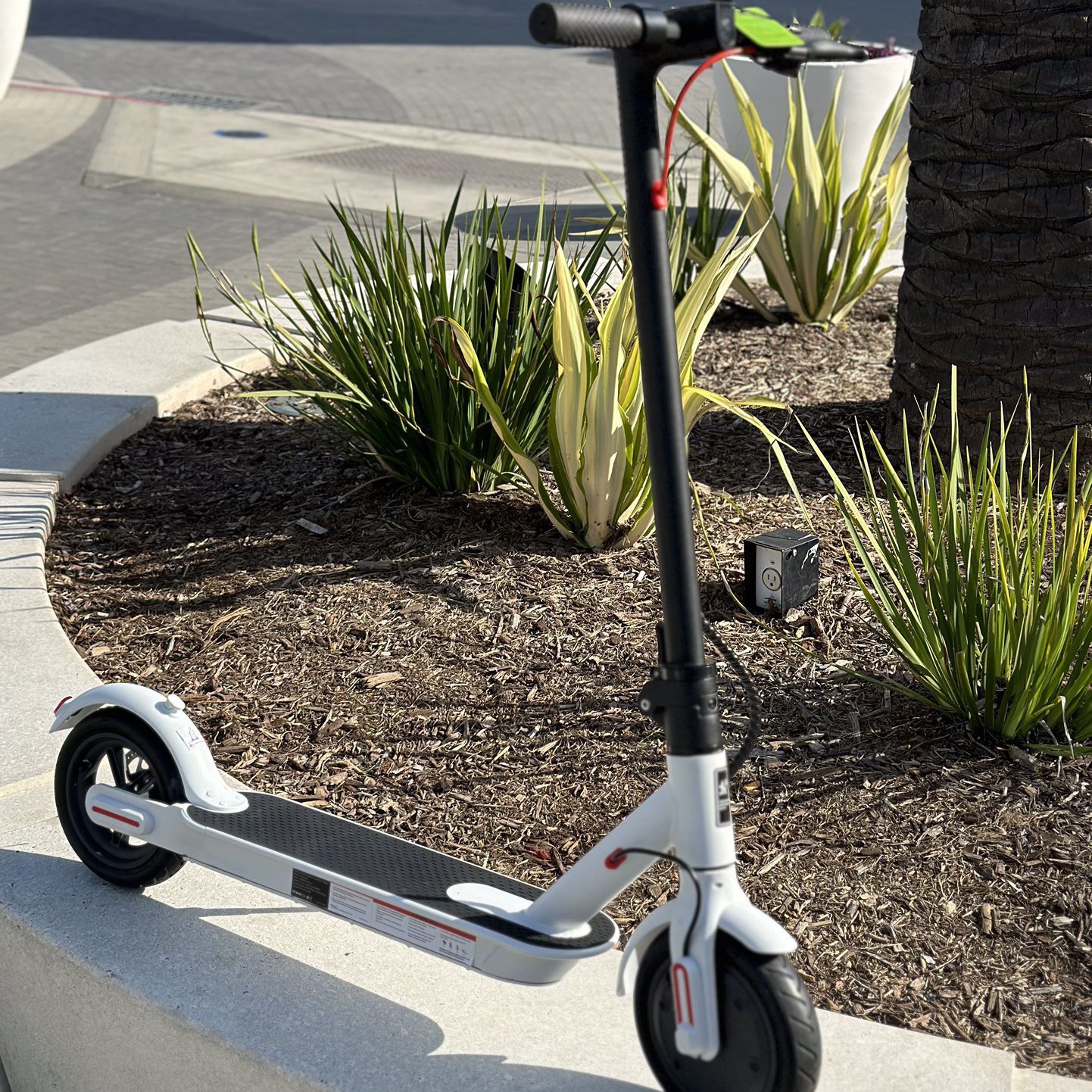 Electric Scooter (white) 