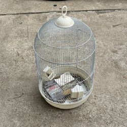 Bird Cages 