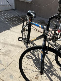 His And Hers Bicycle
