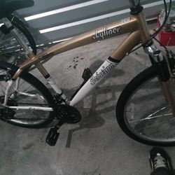 Skyliner Schwinn Bike 21speed