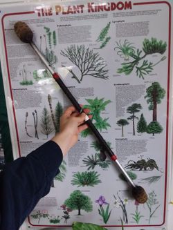 Fire Spinning Batton Double Ended