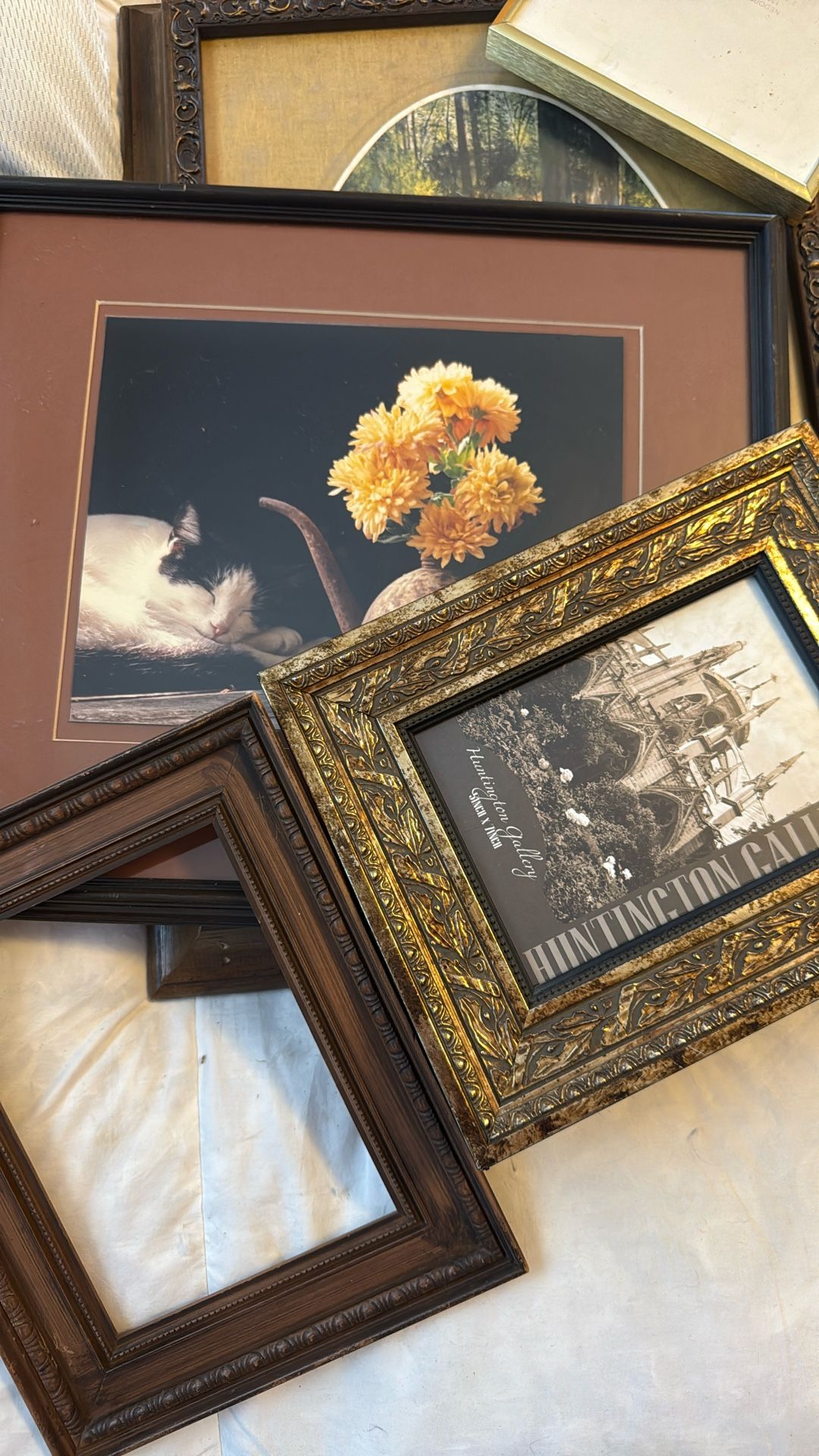 Art ---- Frames -5 bundle