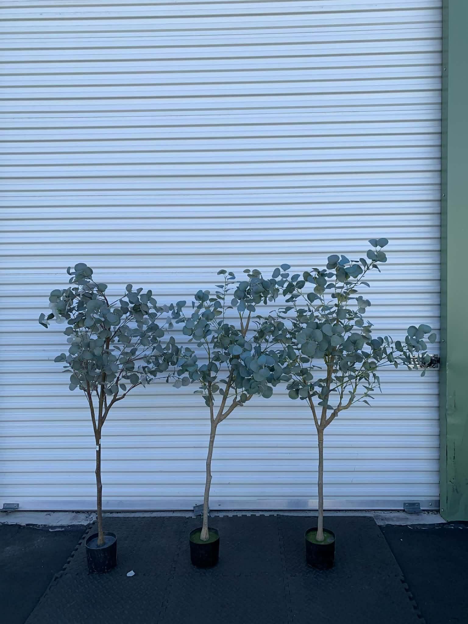 5ft Artificial Eucalyptus Tree in Plastic Nursery Pot, Tall Faux Eucalyptus Stems Fake Plants with 846 Silver Dollar Leaves, Artificial Trees for Offi