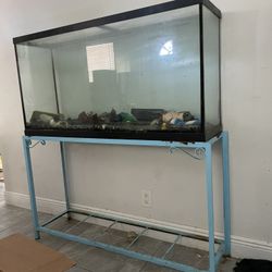 Fish Tank Aquarium Glass Tank 
