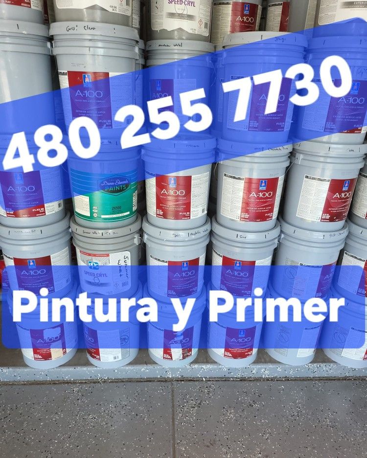 Paint For Sale