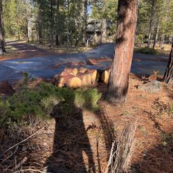 Free Wood    Sunriver