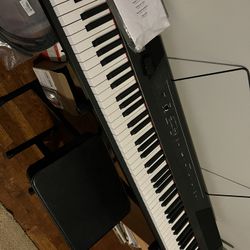 Alesis Recital 88 Key Digi Keyboard