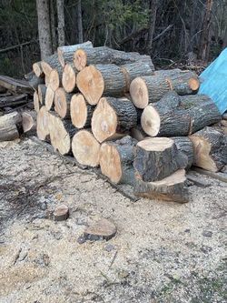 Fresh maple coming down today address in notes. Skid steer on sight trailer preferred
