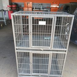 Pet Dog Chate 