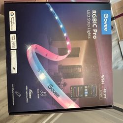 Govee LED lights
