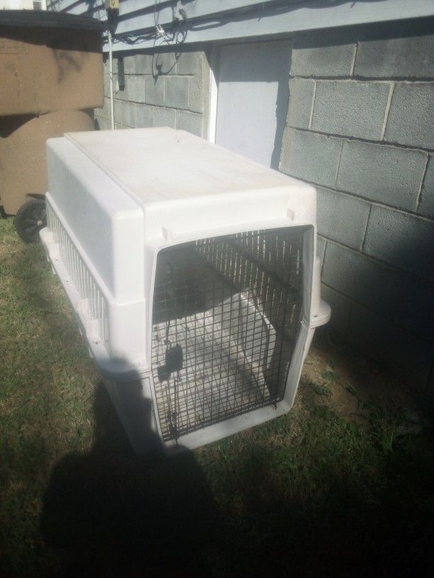 Dog Cage 