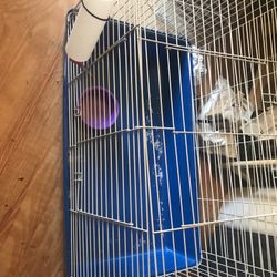 Hamster Cage Or Small Animal Cage 