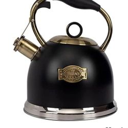 Unique  Kettle Teapot  Black and  Bronze 