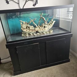 75 Gallon Fish Tank (with stand and equipment)