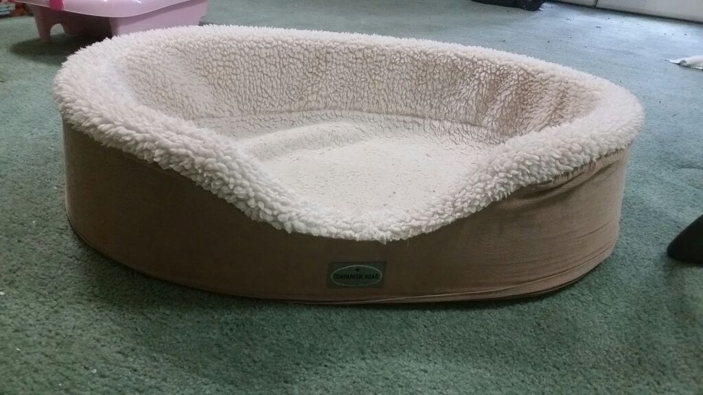 Companion Road Oval Dog Bed - Large
