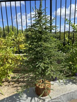 Christmas Tabletop Christmas Tree