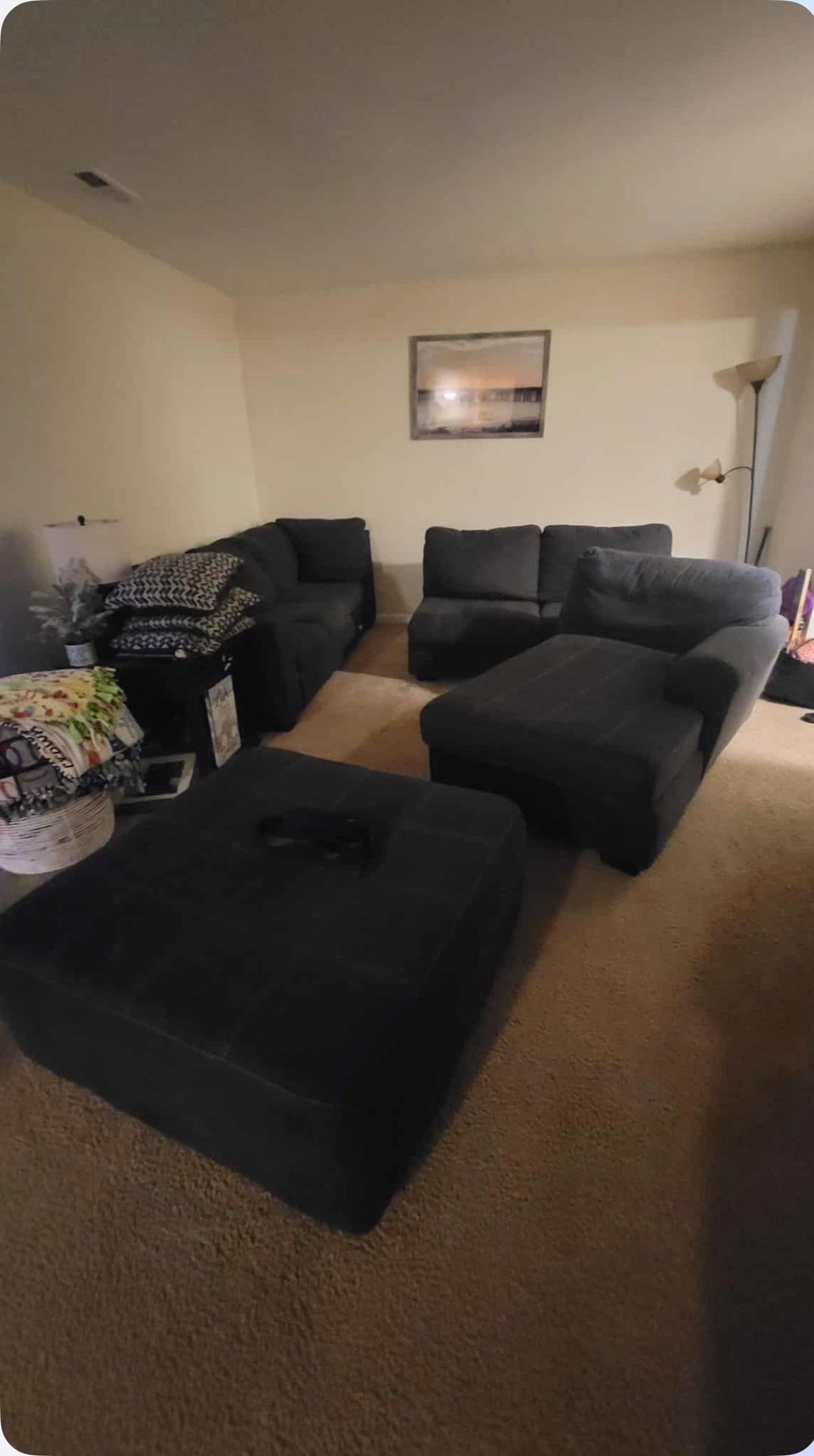 Grey Sectional Couch