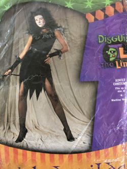 Wicked Wildcat Adult Costume