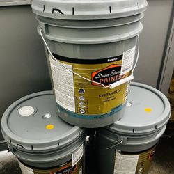 Paint