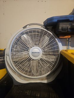 Fan