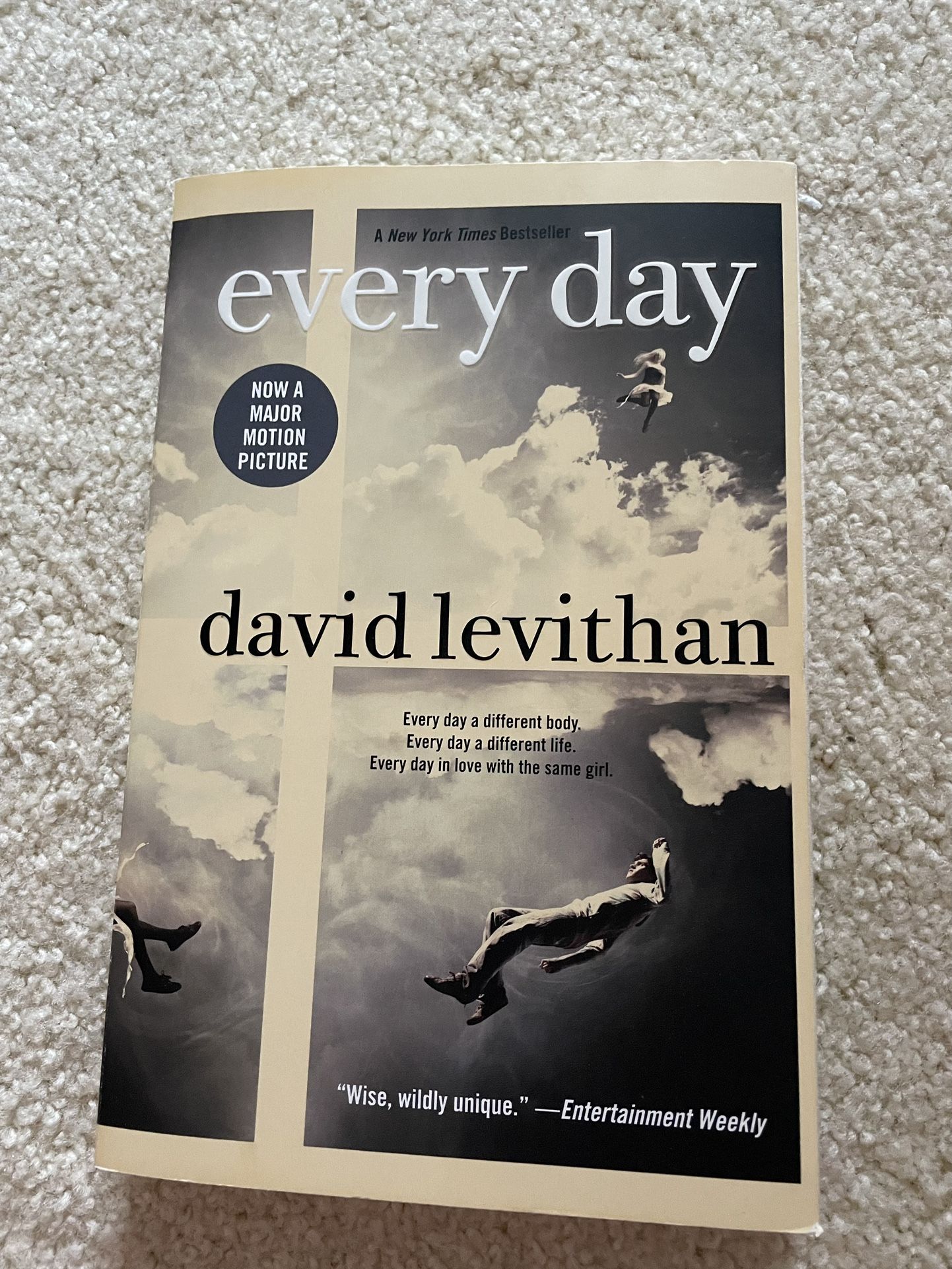 Every Day by David Levithan (2012, Paperback)