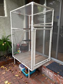 Catio