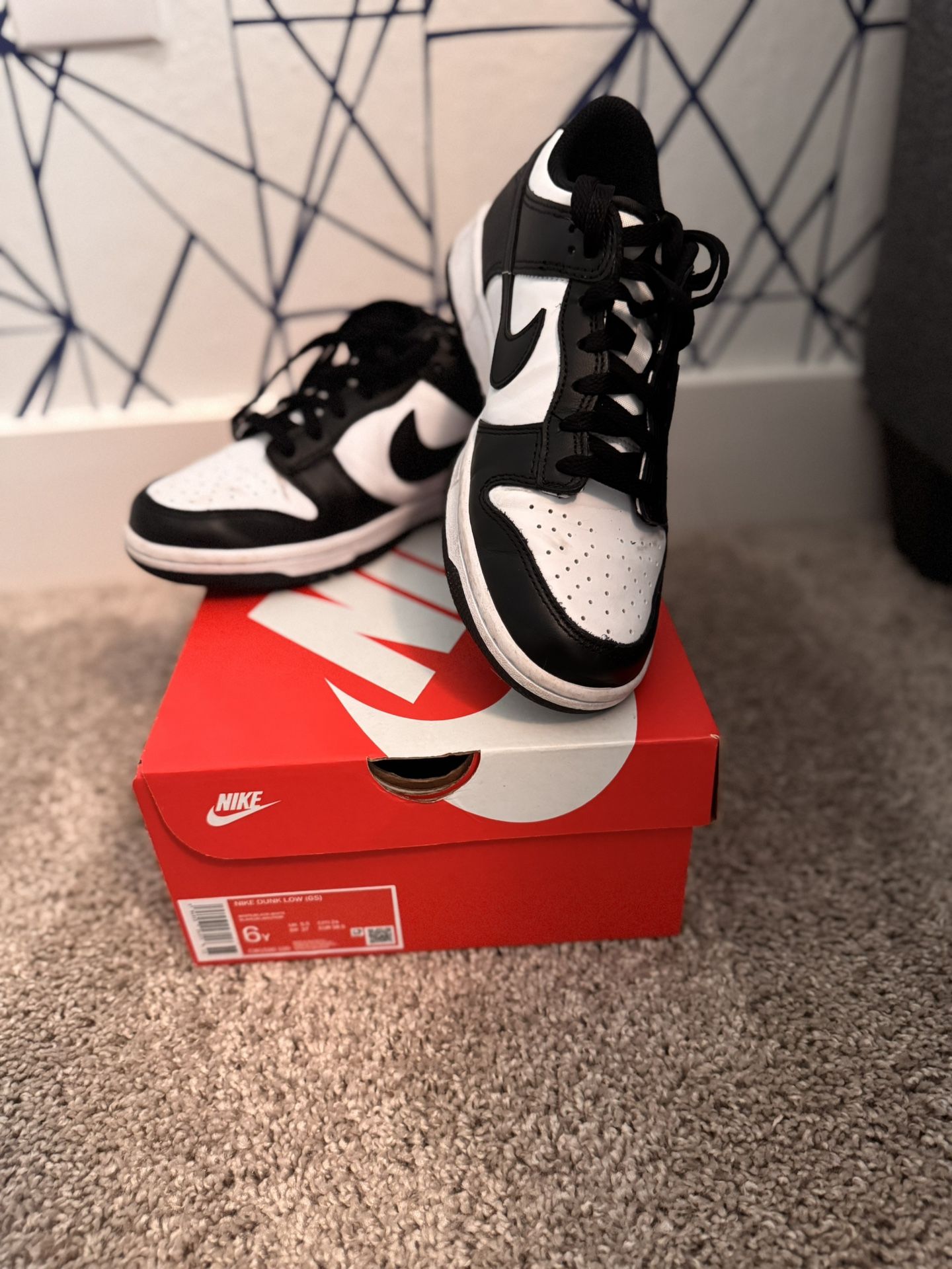 Nike Dunks women’s