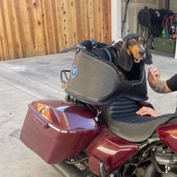 Custom Dog Motorcycle Carrier