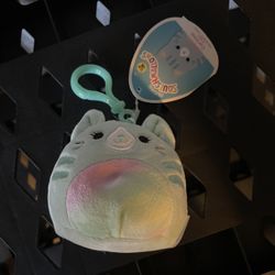 Corinna The Cat Clip Squishmallow 