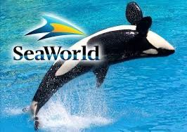 SeaWorld Or Sesame Place SD Tickets + Parking