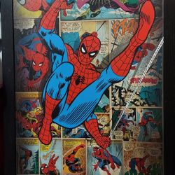SPIDERMAN FRAMED PICTURES 