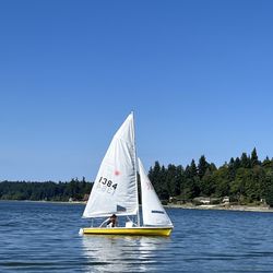 Laser 2 sailboat With Trailer 